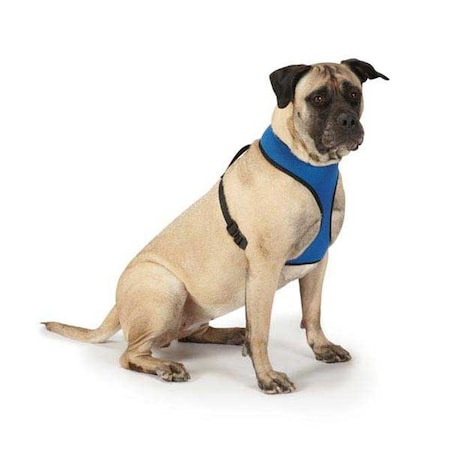 Casual Canine ZA888 24 19 Casual Canine Mesh Harness Xlg Blue